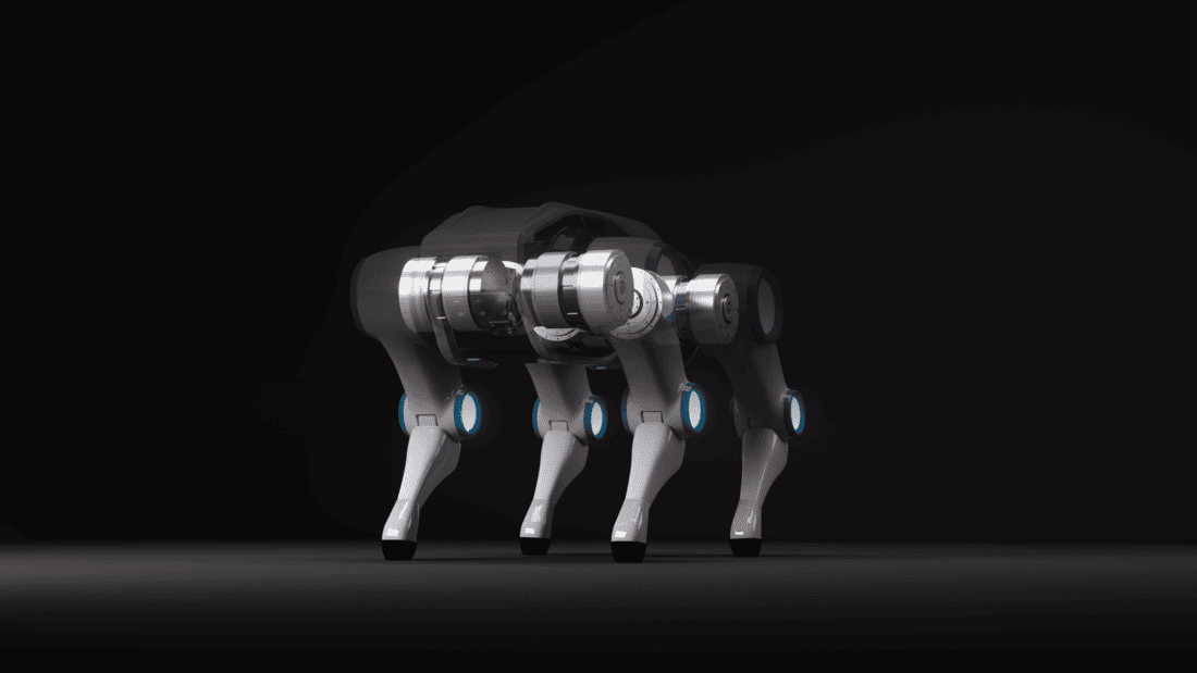 Robot Dog